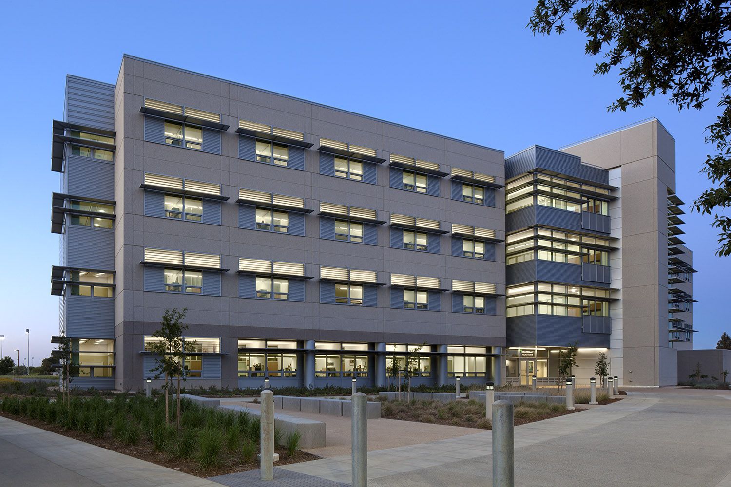Uc Davis Pet Hospital Rey Mcmillen uc-davis-pet-hospital-rey-mcmillen